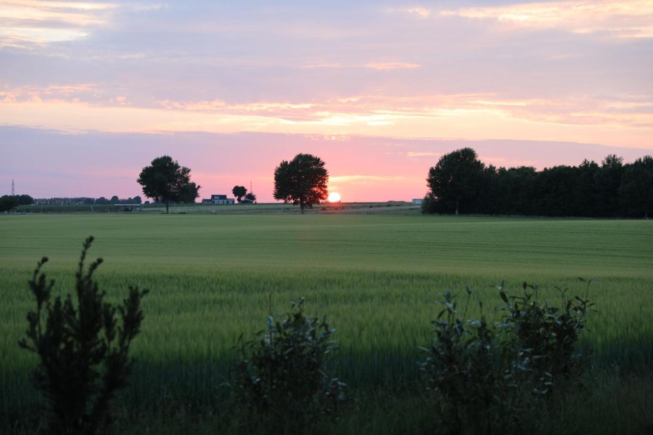 Amarksgard Guesthouse Lille Skensved Esterno foto