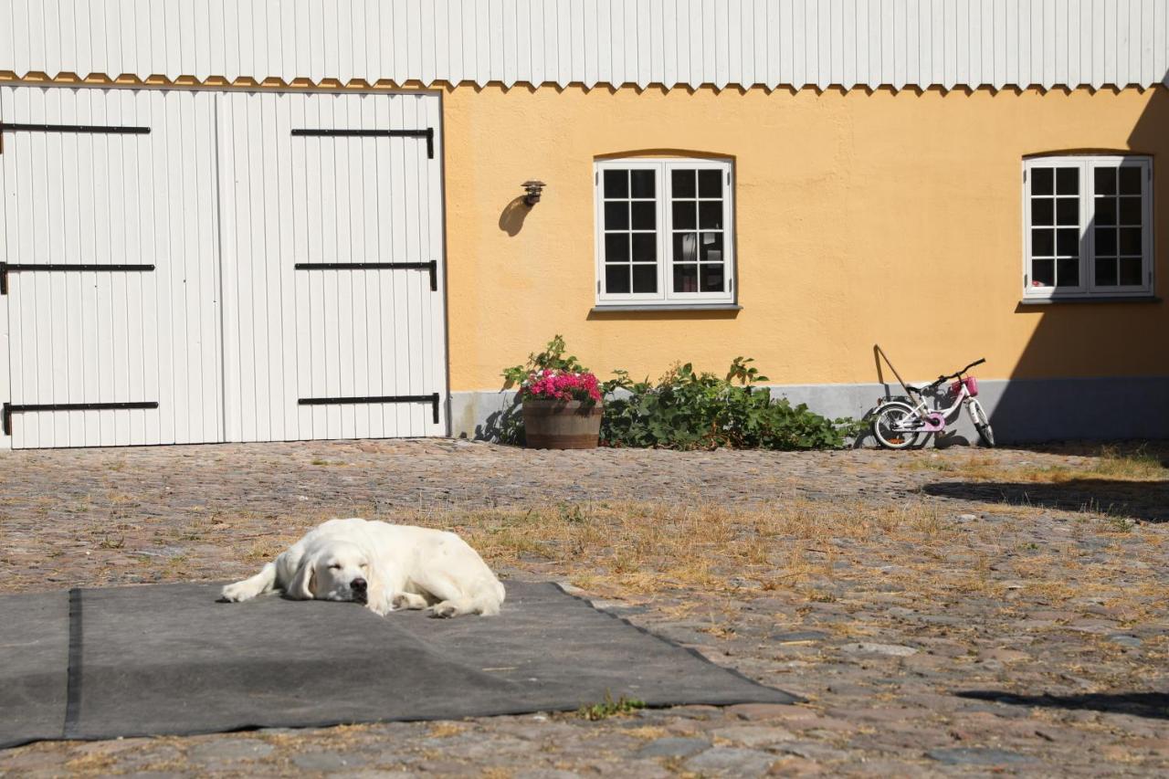 Amarksgard Guesthouse Lille Skensved Esterno foto